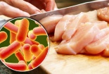 Bác sĩ chỉ ra những vi khuẩn gây ngộ độc thực phẩm nhiều nhất 
