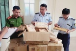 Hà Nội: Phát hiện cơ sở kinh doanh gần 1.000 chiếc bánh trung thu không đảm bảo an toàn