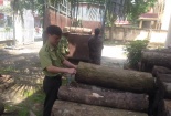 Để bảo đảm truy xuất nguồn gốc gỗ DN cần mua nguyên liệu có chứng chỉ quản lý rừng bền vững