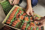 Bánh trung thu nhân trứng chảy Trung Quốc giá siêu rẻ liệu có đảm bảo an toàn