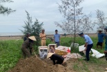 Nguy cơ từ thịt bò đông lạnh không rõ nguồn gốc xuất xứ