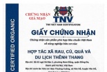 Giấy chứng nhận nông nghiệp hữu cơ của HTX Rau củ quả và Du lịch Thênh Thang là giả mạo