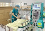 Sử dụng tràn lan lá cây chữa bệnh: Nguy cơ 'bệnh chồng bệnh'