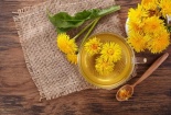 Trà bồ công anh người Việt hay dùng có chất chống di căn ung thư