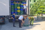 Nghệ An phát hiện 8 tấn thịt gà đông lạnh đã bốc mùi hôi thối không rõ nguồn gốc xuất xứ
