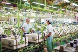 Tăng trưởng kinh tế của Việt Nam được dự báo ở mức 5,8% trong năm 2023 