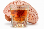 Uống nhiều rượu bia có thể gây teo não như thế nào?