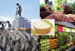 Sản phẩm nông nghiệp đóng góp ấn tượng cho hoạt động xuất khẩu