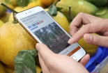 Truy xuất nguồn gốc giúp người dùng yên tâm sử dụng sản phẩm chất lượng