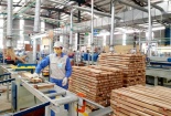 Danh sách cảnh báo sản phẩm Việt Nam có nguy cơ bị điều tra phòng vệ thương mại