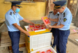 Thu gom hơn 300 kg xúc xích không rõ nguồn gốc đã chảy nước về bán cho người dùng