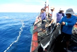 Nỗ lực gỡ 'thẻ vàng' IUU: Quyết liệt triển khai chứng nhận và truy xuất nguồn gốc thủy sản