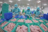 Phần Lan: Thị trường hấp dẫn cho xuất khẩu cá ngừ Việt Nam