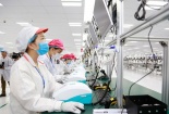Tuyên Quang: Nhiệm vụ, giải pháp phát triển khoa học, công nghệ và đổi mới sáng tạo