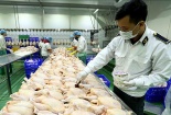 An toàn thực phẩm - Phải kiểm soát những cơ sở giết mổ động vật nhỏ lẻ