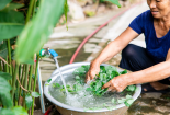 Ban hành Quy chuẩn kỹ thuật địa phương về chất lượng nước sạch