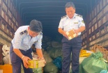 Quảng Bình: Phát hiện xe ô tô vận chuyển hơn 1.000 sản phẩm hàng hóa không rõ nguồn gốc xuất xứ