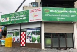 Giấy chứng nhận thực hành tốt 5S của 'Văn phòng chứng nhận phù hợp GIC' không có giá trị pháp lý