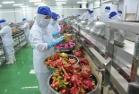 Doanh nghiệp cần đặc biệt quan tâm đến tiêu chuẩn phát triển bền vững khi xuất khẩu vào Canada