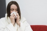 Phát hiện vỏ cây liễu có đặc tính kháng virus phổ rộng 