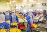Doanh nghiệp cần làm gì để đạt chứng nhận Halal?