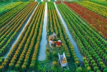 Ngành nông nghiệp Thủ đô hướng tới chuyển đổi số hình thành nền nông nghiệp hiện đại 