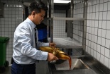 Tận dụng dầu thừa làm nhiên liệu hàng không bền vững
