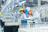 Hơn 14 nghìn doanh nghiệp thành lập mới trong tháng 11