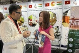 Nhiều cơ hội cho doanh nghiệp Việt Nam thâm nhập thị trường nội thất tại Ấn Độ