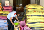 Xử phạt nhiều cửa hàng bán thức ăn chăn nuôi không đúng tiêu chuẩn
