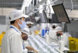 ISO 14001 – tiêu chuẩn cung cấp cách tiếp cận có hệ thống để quản lý môi trường