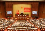 Hơn 1,44 triệu cán bộ, đảng viên nghiên cứu, học tập, quán triệt Nghị quyết Trung ương 8