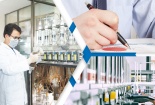 Quy định liên quan đến xử lý đơn đăng ký xác lập quyền sở hữu công nghiệp 