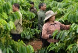 Nestlé Việt Nam dẫn đầu trong Top 100 Doanh nghiệp bền vững năm 2023