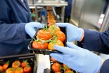 FSSC 22000 - giải pháp cho yêu cầu về an toàn thực phẩm khi xuất khẩu vào thị trường EU