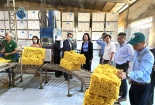 Thẩm định đánh giá Công ty TNHH MTV Cao su Chư Prông tham gia Giải thưởng Chất lượng quốc gia