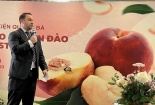 Trái cây mùa hạ Australia - đào và xuân đào vào thị trường Việt Nam