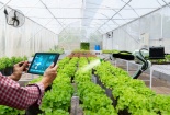 Hoàn thiện hành lang pháp lý cho hoạt động khoa học công nghệ
