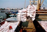 Hợp tác hiệu quả với khoa học công nghệ tạo đột phá trong sản xuất nông nghiệp