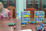 Thu giữ hơn 70kg pháo cùng hàng trăm viên pháo nổ, pháo hoa