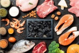 Trung Quốc nghiên cứu công nghệ sản xuất protein từ than đá có tính khả thi cao