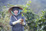 Công bố Sáng kiến “Ngày trồng cây 3/3” 