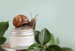 Những hiệu quả bất ngờ của chất nhầy của sên trong quá trình chăm sóc da