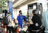 Tổng rà soát việc cấp phép kinh doanh xăng dầu