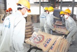 Lấy ý kiến dự thảo Tiêu chuẩn quốc gia về Xi măng (Phần 2)