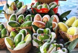 Lần đầu tiên xoài hạt lép An Giang xuất khẩu sang thị trường Hàn Quốc