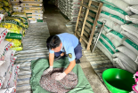 Kiên Giang xử lý 43 vụ vi phạm về buôn lậu, gian lận thương mại và hàng giả