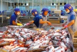 Xuất khẩu cá tra tăng trưởng dương