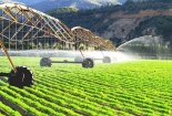 Liên minh châu Âu đề xuất nới lỏng tiêu chuẩn bảo vệ môi trường trong nông nghiệp