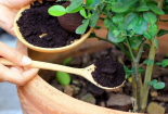Phát hiện mới về bã cà phê giúp ích cho đời sống